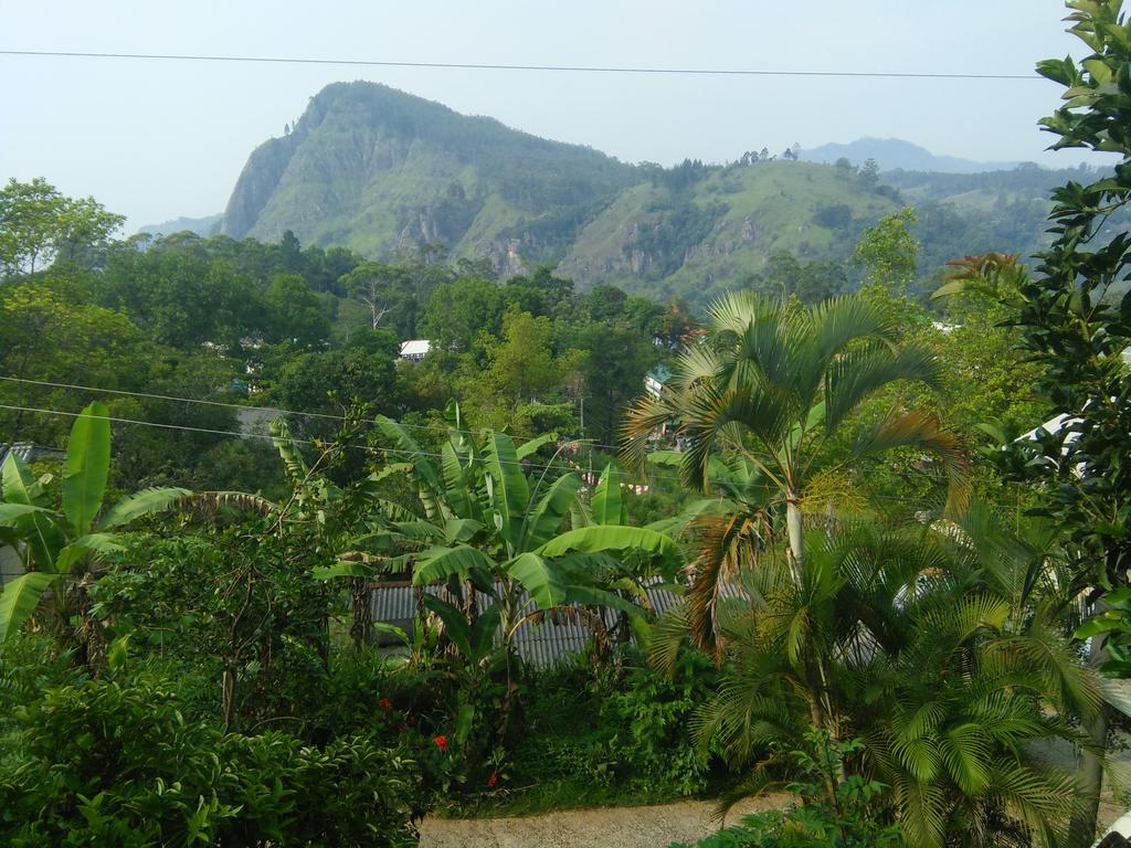 Eden View Ella - Tour Options In The Area Hotel Exterior foto
